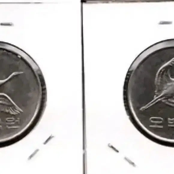 [BUNJANG] 1982 Special Mint Year 500 Won Coin / 1982년500원 특년동전
