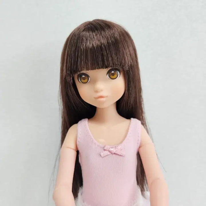 [BUNJANG] Pet Works Tutu Ruruko Original Ballet Outfit / 펫웍스 투투 루루코