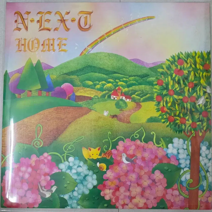 [BUNJANG] N.EX.T 1st Album - Home Original LP Record / [LP] 넥스트(N.EX.T) 1집 - Home 오리지널 레코드판 판매