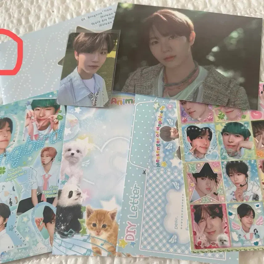 [BUNJANG] NCT WISH Songbird Postcard Jaehee / 엔시티 위시 송버드엽서