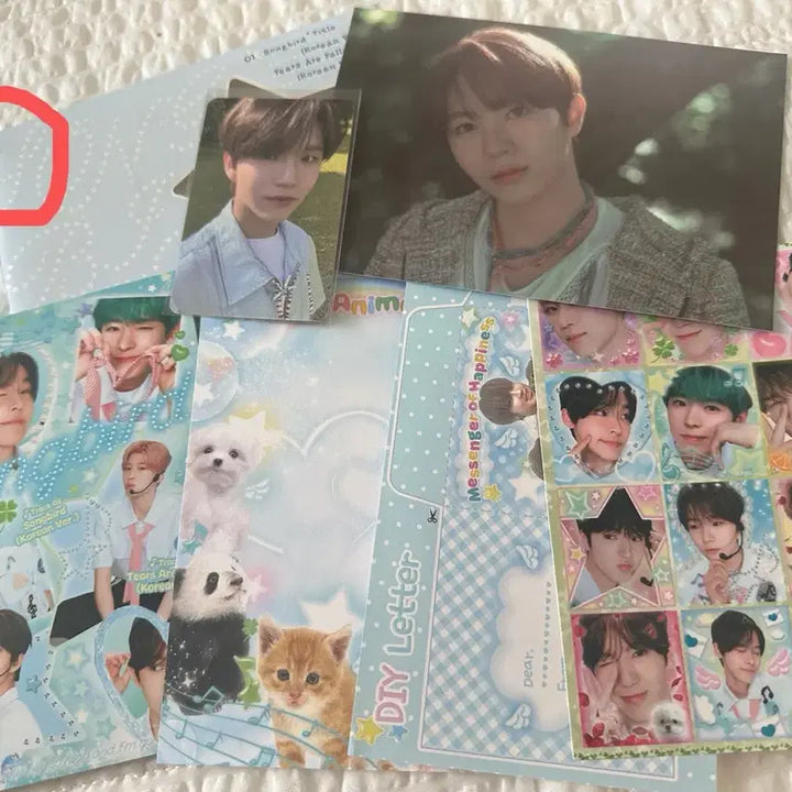 [BUNJANG] NCT WISH Songbird Postcard Jaehee / 엔시티 위시 송버드엽서