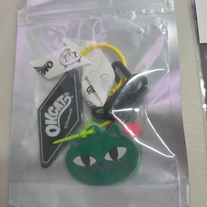 [BUNJANG] Ok Taecyeon Okcat Christmas Keyring 2022 Goods / 옥택연 옥캣의 크리스마스 키링 2022 굿즈 단순개봉