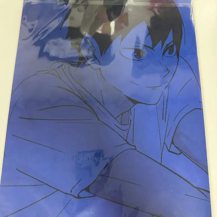 [BUNJANG] Haikyu!! Kuji Clear File Set - Kageyama &amp; Hinata (Sealed Bundle) / 하이큐 쿠지 클리어파일 미개봉 카게야마,히나타 일괄
