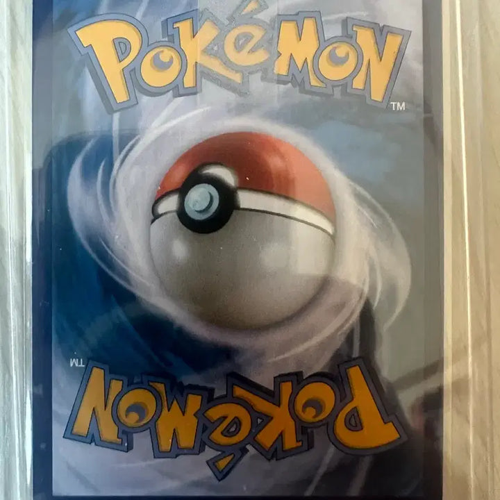 [BUNJANG] Pokemon Card Momi SR Graded Card / 포켓몬 카드 모미 SR 등급용