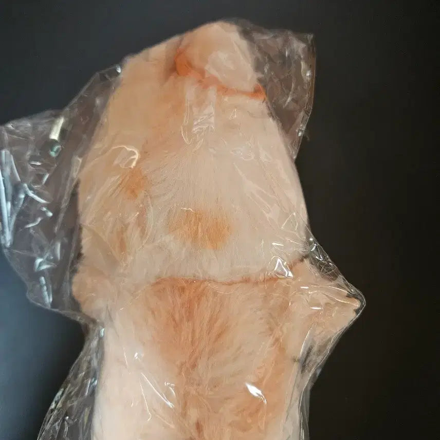 [BUNJANG] Labubu Keyring Plush Doll / 라부부 키링 인형