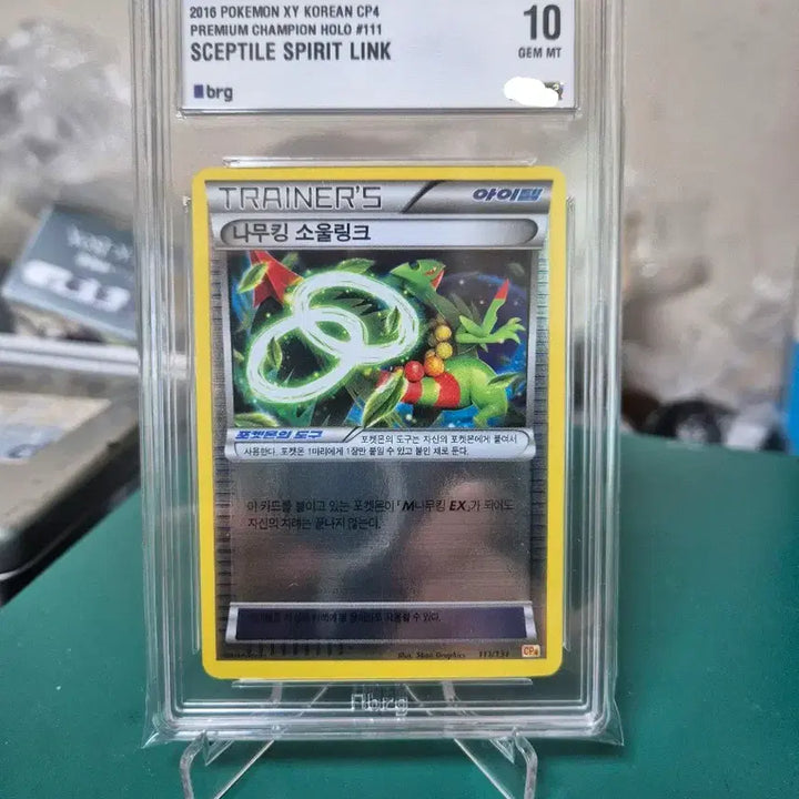 [BUNJANG] Mega Charizard X Soul Link Mirror BRG10 Graded Pokémon Card / 메가나무킹 XY 소울링크 미러 BRG10 포켓몬카드 등급카드 등카