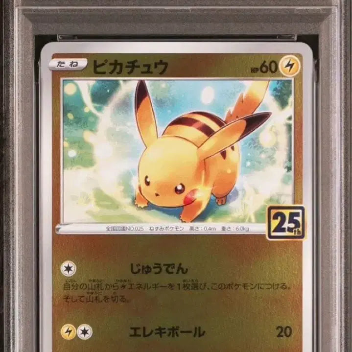 [BUNJANG] Pokemon 25th Anniversary Golden Box Pikachu PSA 10 Japanese Edition / 포켓몬카드 25주년 기념 골든 박스 피카츄 PSA10 일본판