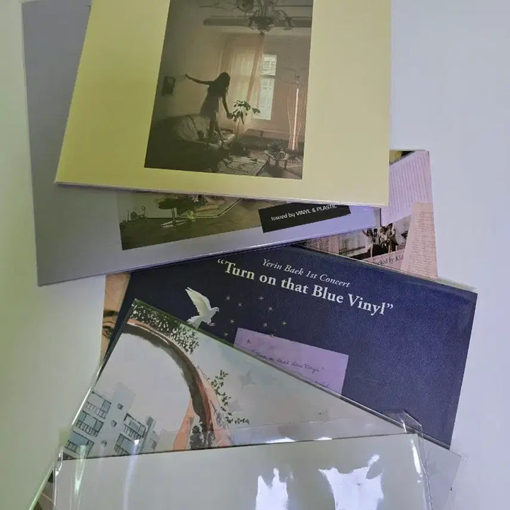[BUNJANG] Yerin Baek Vinyl Collection / 백예린 lp 전부 판매