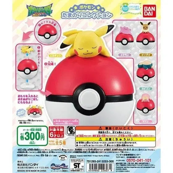 [BUNJANG] Bandai Gacha Pokemon Tamanoeri Collection 1st Edition Full Set (5 Figures) / 2018 반다이 가챠 포켓몬 타마노리 컬렉션 1탄 피규어 풀세트 5종