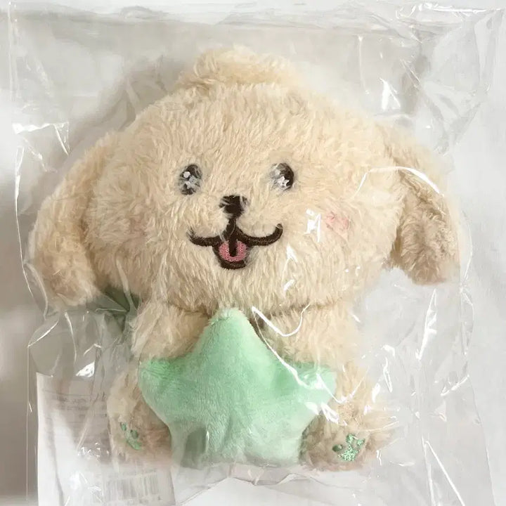 [BUNJANG] NCT WISH Our WISH Encore MD Daengtreever Star Wish Doll (Sealed) / 미개봉 새상품 엔시티위시 아워위시 앙콘 엠디 댕트리버 스타위시돌 양도