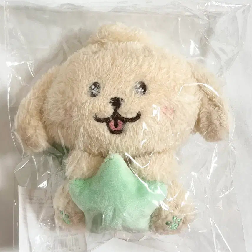 [BUNJANG] NCT WISH Our WISH Encore MD Daengtreever Star Wish Doll (Sealed) / 미개봉 새상품 엔시티위시 아워위시 앙콘 엠디 댕트리버 스타위시돌 양도