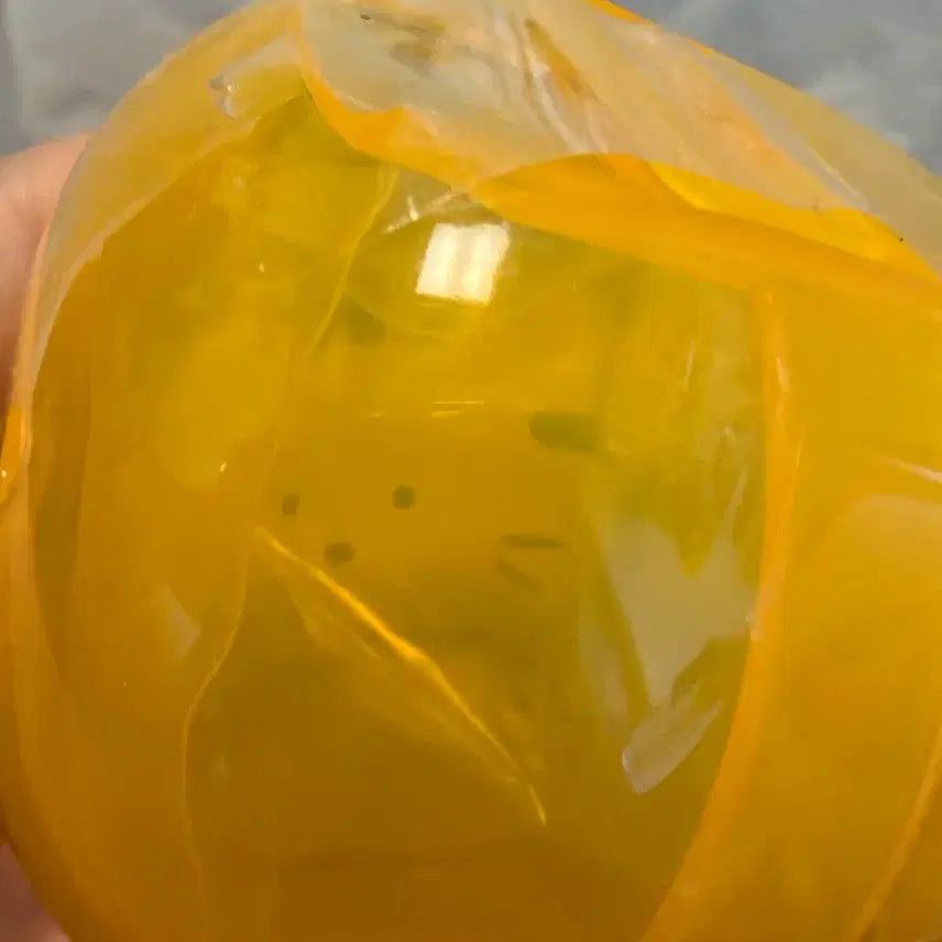 [BUNJANG] Cat Gacha Figure / 고양이 가챠