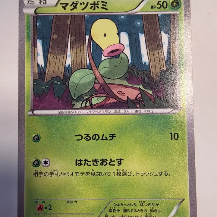 [BUNJANG] Vintage Pokemon Card - XY Mothim (Japanese) / 빈티지)포켓몬카드 일판 XY모다피