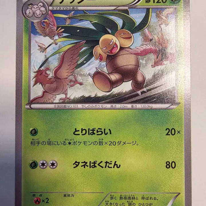 [BUNJANG] Vintage Japanese Pokemon Card Nassy XY / 빈티지)포켓몬카드 일판 나시 XY