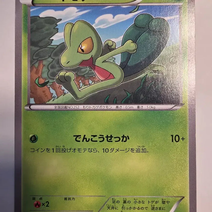 [BUNJANG] Vintage Japanese Pokemon Card - Treecko XY / 빈티지)포켓몬카드 일판 나무지기 XY
