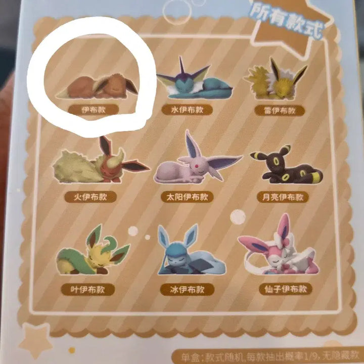 [BUNJANG] Pokemon Eevee&