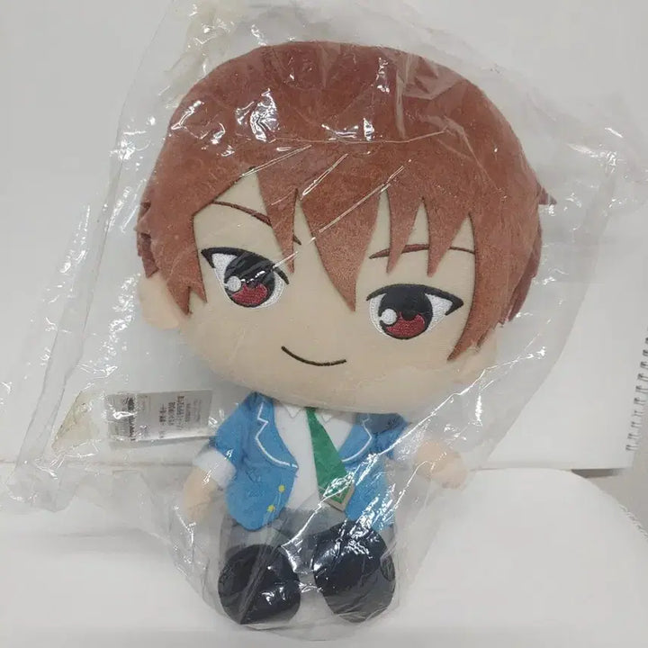 [BUNJANG] Ensemble Stars Chiaki 30cm+ Big Plush Doll / 공식 앙스타 소장용 치아키 30cm이상 빅 누이 19일까지 할인