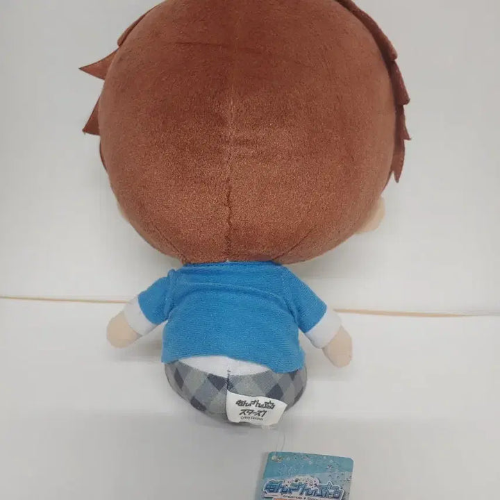 [BUNJANG] Ensemble Stars Chiaki 30cm+ Big Plush Doll / 공식 앙스타 소장용 치아키 30cm이상 빅 누이 19일까지 할인