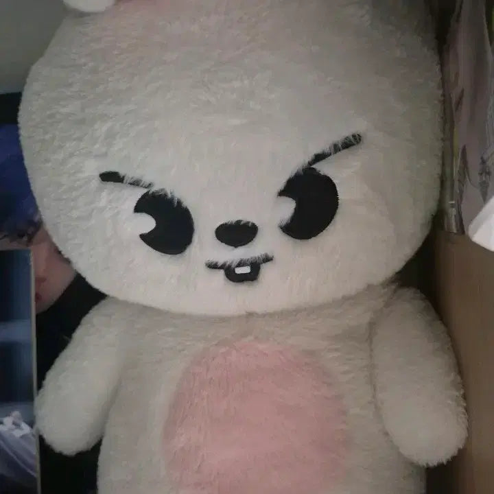 [BUNJANG] Stray Kids Teddy Bear Ribbit Photocard / 스키주 스키즈 테디베어 리빗 양도