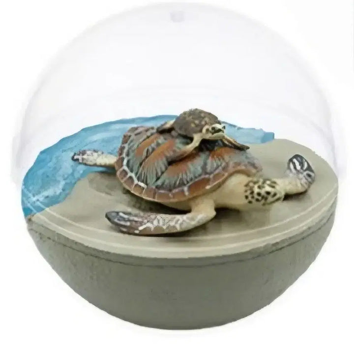 [BUNJANG] Caprium Collection Marine Life Turtle / 카푸리움 컬렉션 해양 생물 거북이