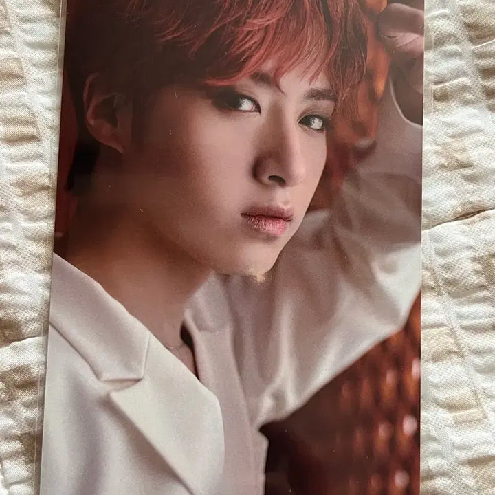 [BUNJANG] ONEUS Zion Official Photocard / 원어스 시온 공방 엽서