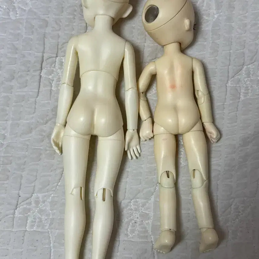 [BUNJANG] BJD Doll Bundle Set / 구체관절인형