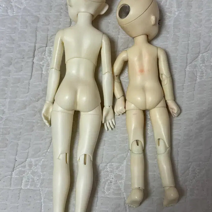 [BUNJANG] BJD Doll Bundle Set / 구체관절인형