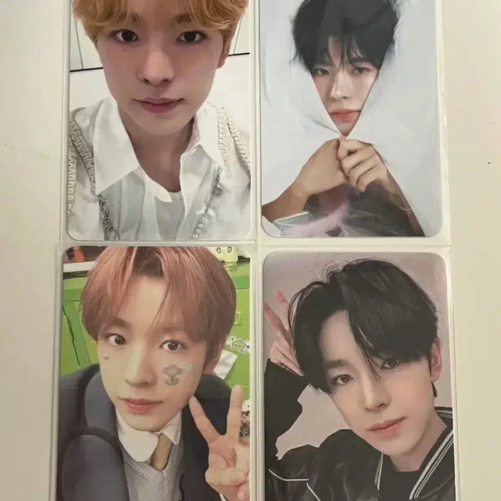 [BUNJANG] NCT WISH Yushi Photocard Bundle Set / 급처)엔시티 위시 유우시 포카 시즌그리팅 스테디 위시 컬러 아워위시