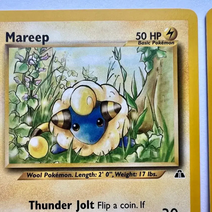 [BUNJANG] Pokemon Mareep Flaaffy Card - Early 2000s English North American Edition / 포켓몬 포켓몬스터 2000-1년 초기 메리프  보송송 북미 영문판 카드