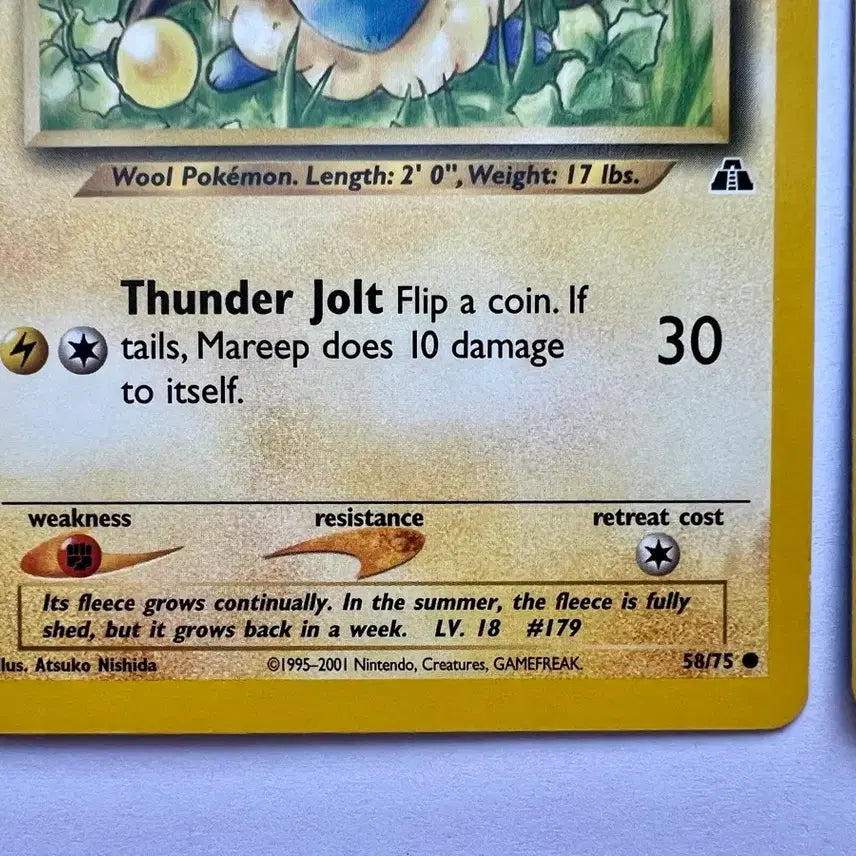 [BUNJANG] Pokemon Mareep Flaaffy Card - Early 2000s English North American Edition / 포켓몬 포켓몬스터 2000-1년 초기 메리프  보송송 북미 영문판 카드