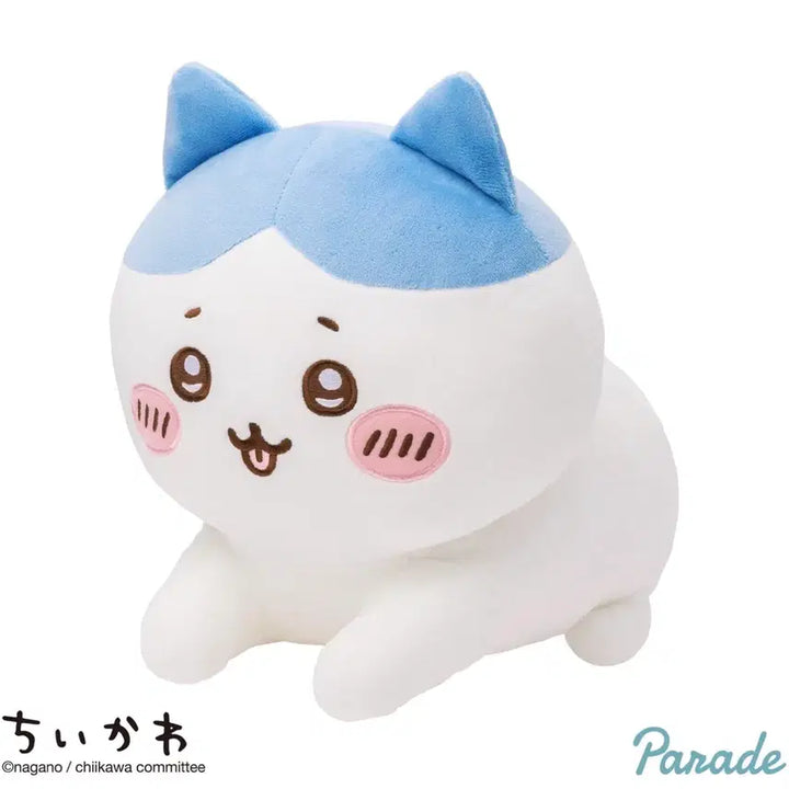 [BUNJANG] Hachiwara Sphinx / 스핑크스 하치와레