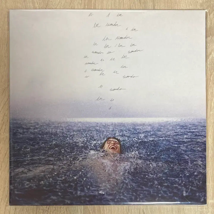 [BUNJANG] Shawn Mendes Limited Edition Silver Color LP / 션 멘데스 (Shawn Mendes) LP (한정반 실버 컬러)