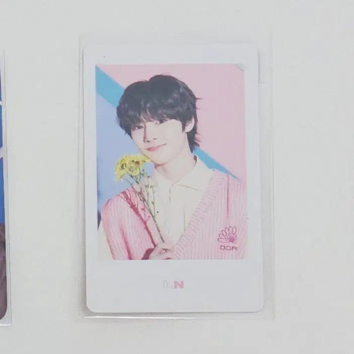 [BUNJANG] Stray Kids I.N. District 9 Unlock Japan Polarizer Photocard / 스트레이키즈 아이엔 포카 일본 디스트릭트9 언락 짭폴 폴라 엠디 굿즈 district9 unlock