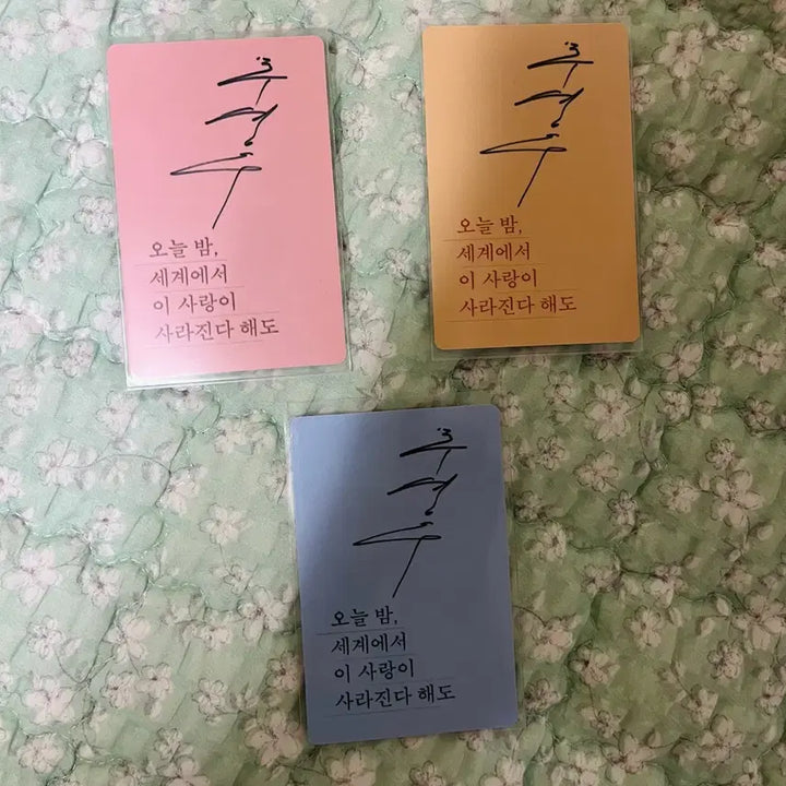 [BUNJANG] Chowoo Young Photocard Set / 추영우 포토카드