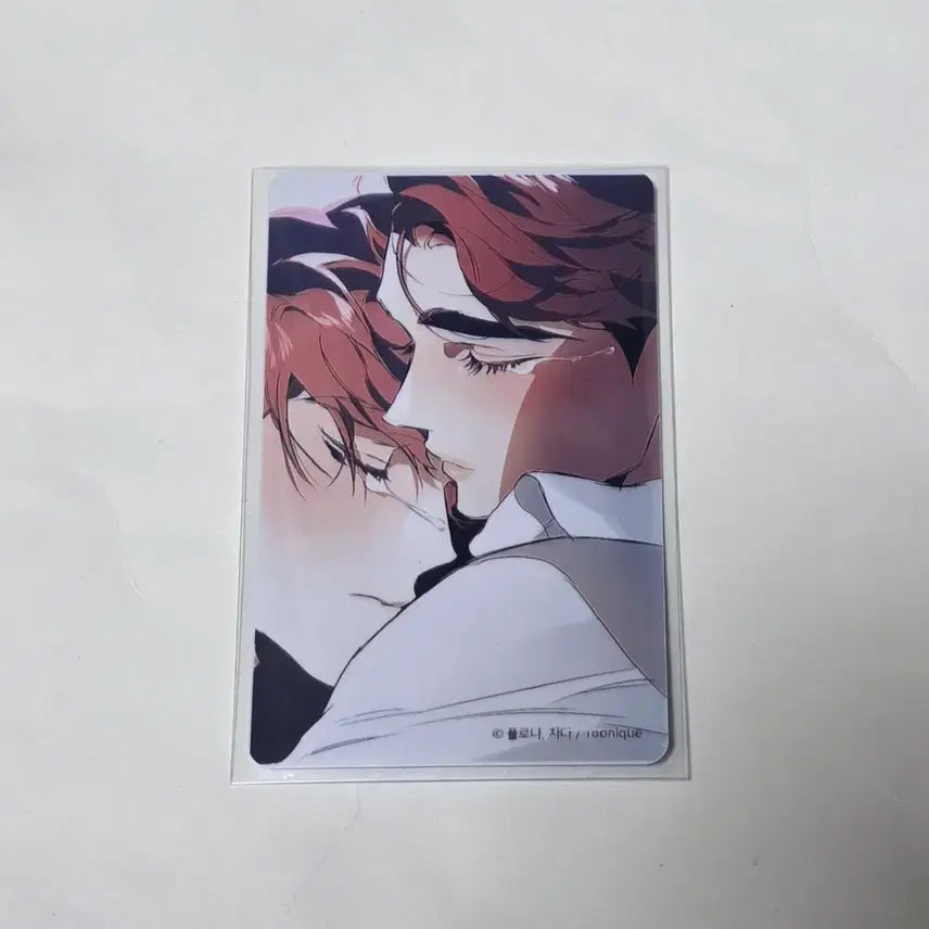 [BUNJANG] Toonique DTR Hey Photocard / 투니크 디티알 DTR 헤이포카 포토카드 1개