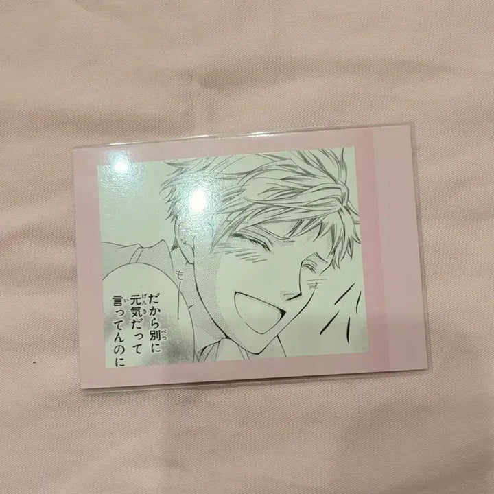 [BUNJANG] Ouran High School Host Club Social Club Pashacolle Character Photo Collection / 오란고교 호스트부 사교클럽 파샤코레 캬라포토레