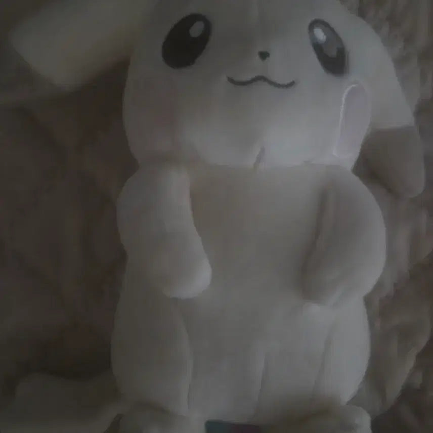 [BUNJANG] Pokemon Pocofia Palechu Plush / 포켓몬스터 포코피아 창백카츄 인형 일포센