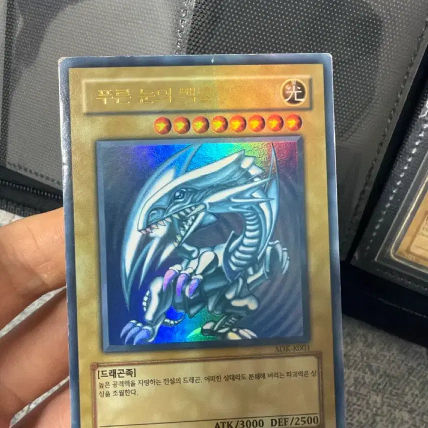 [BUNJANG] SDK-K001 Blue-Eyes White Dragon Card / [가격인하] 푸른 눈의 백룡 SDK-K001