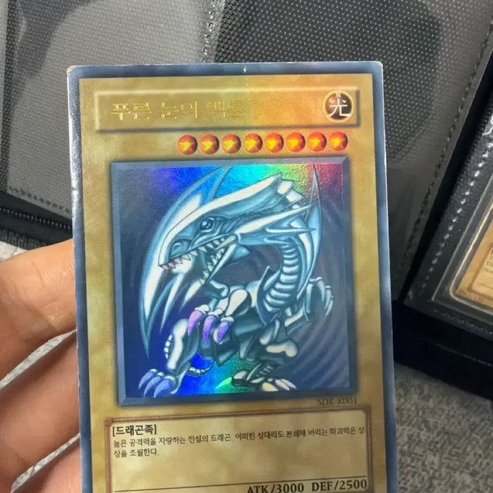 [BUNJANG] SDK-K001 Blue-Eyes White Dragon Card / [가격인하] 푸른 눈의 백룡 SDK-K001