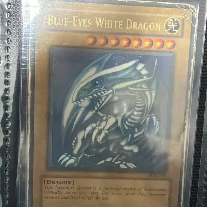 [BUNJANG] Blue-Eyes White Dragon English Version / 푸른눈의 백룡 영판
