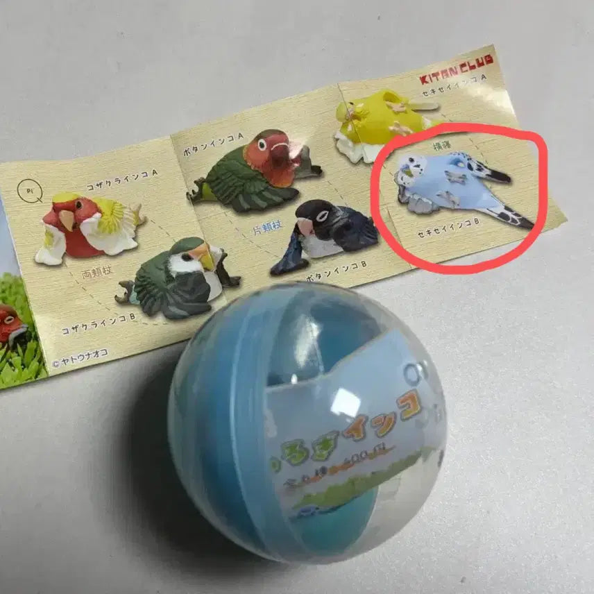 [BUNJANG] Cheeky Parrot Gacha Figure / 건방진 앵무새 가챠