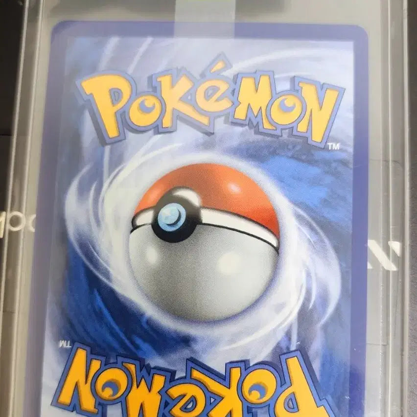 [BUNJANG] Pokemon Cards North America 1st Partner 4th Generation Starter Bundle Set / 포켓몬카드 북미 퍼스트파트너 4세대 스타팅 일괄(팽도리,모부기,불꽃숭이)