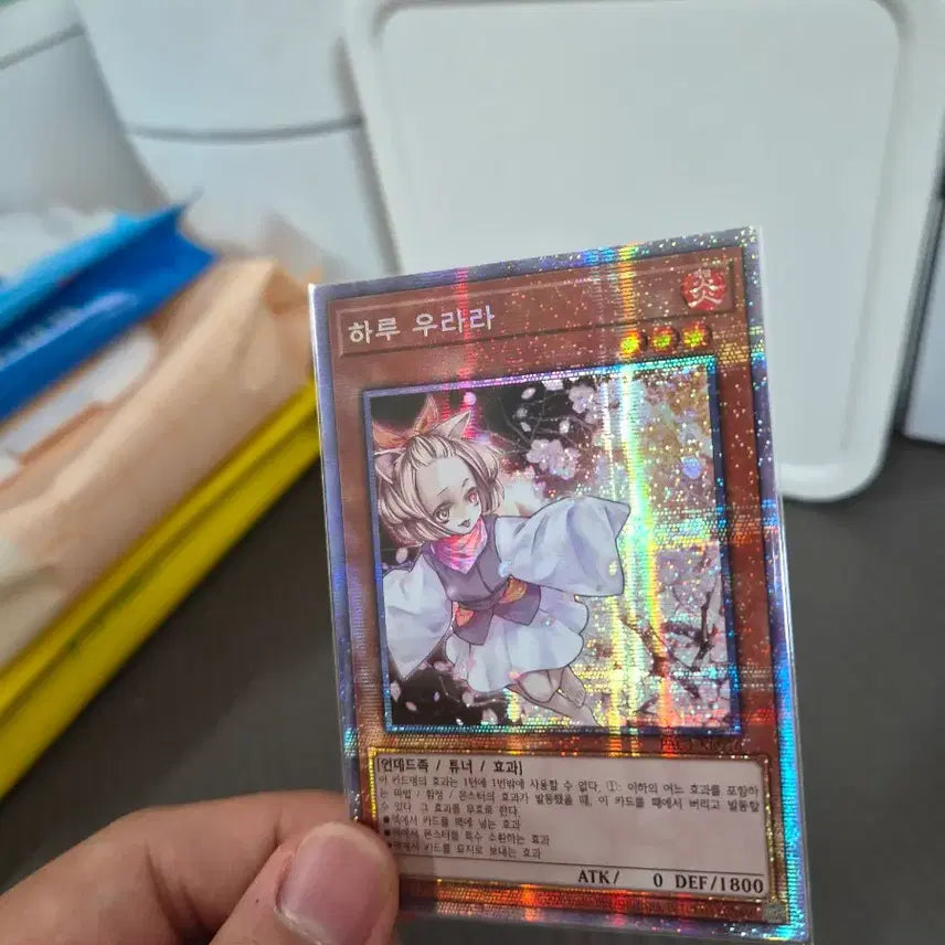 [BUNJANG] Yata-Garasu (LOD-KR000) &amp; Haru Urara (PAC1-KR016) Bundle Set / 야타까마귀(LOD-KR000) / 하루우라라(PAC1-KR016) 일괄