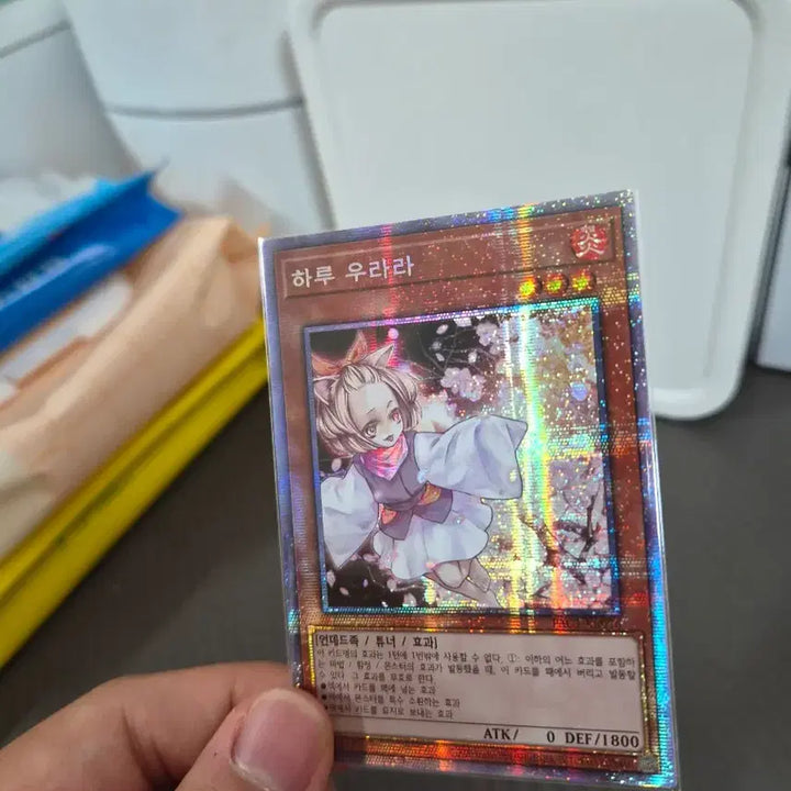 [BUNJANG] Yata-Garasu (LOD-KR000) &amp; Haru Urara (PAC1-KR016) Bundle Set / 야타까마귀(LOD-KR000) / 하루우라라(PAC1-KR016) 일괄