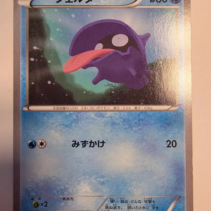 [BUNJANG] Vintage Japanese Pokemon Card Shellder XY / 빈티지)포켓몬카드 일판 쉘더 XY