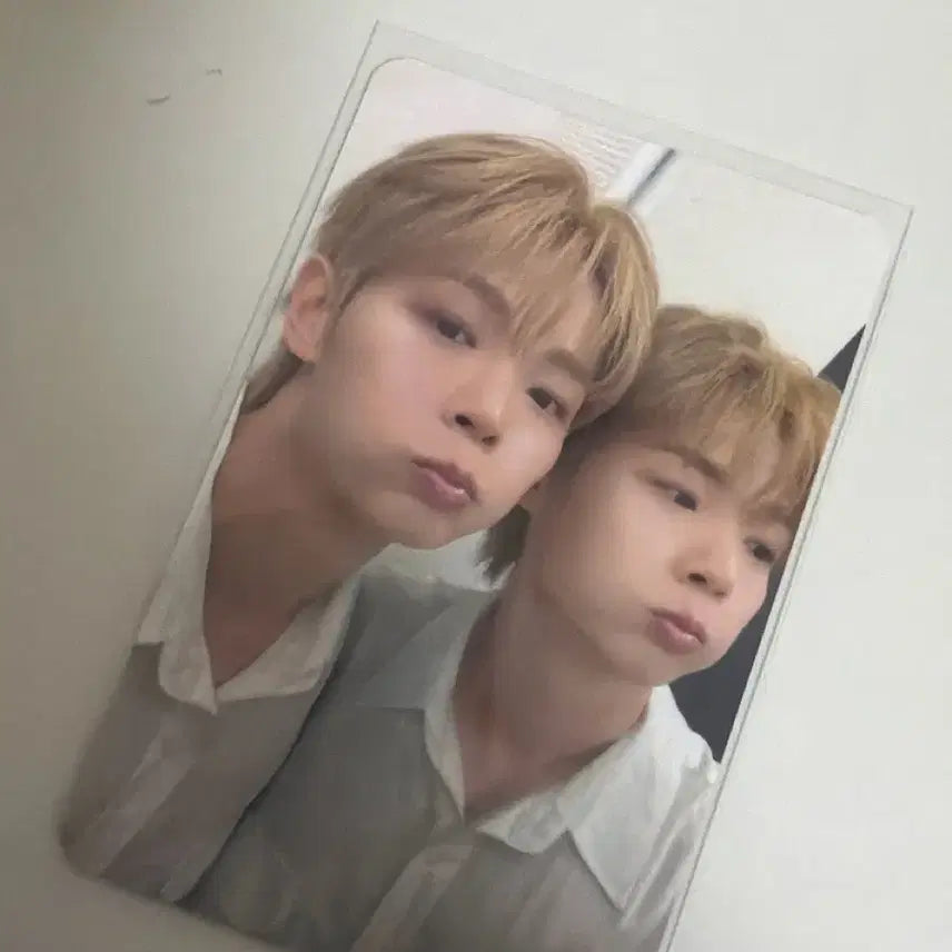 [BUNJANG] Lucy Lucy The Show Photocard Shin Yechan / 루시 시루 MD 5만원 포카 판매합니다 신예찬