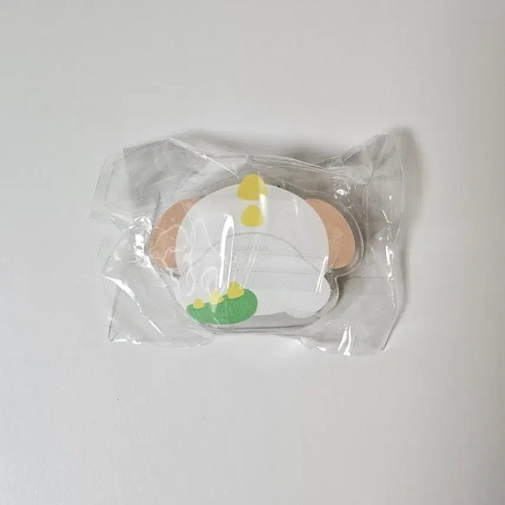 [BUNJANG] RIIZE Archive Pop-up Acrylic Clip Anton / 라이즈 아카이브 팝업 아크릴 클립 멍룡이 앤톤