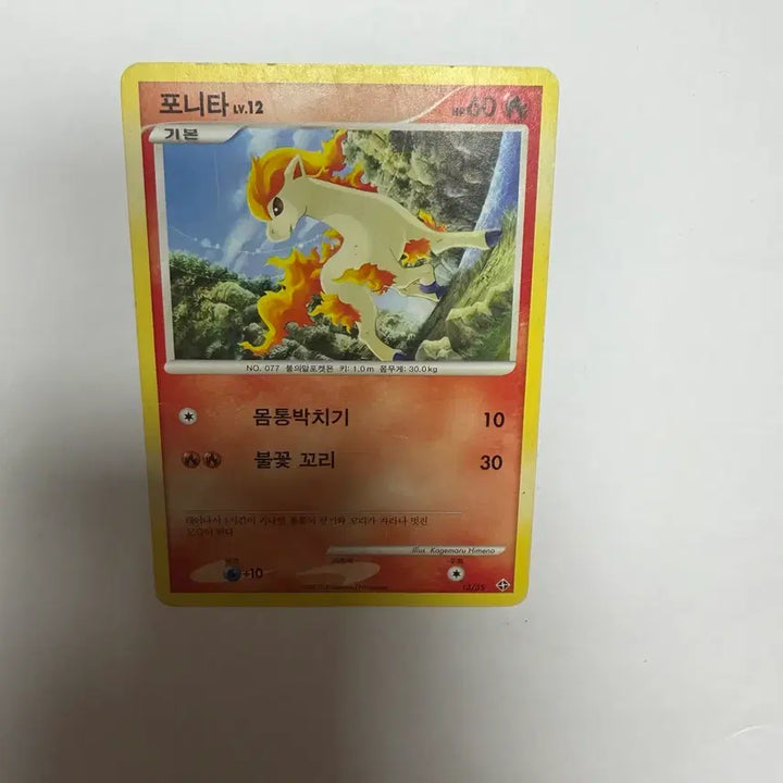 [BUNJANG] Ponita Pokemon Card / 포니타 포켓몬카드