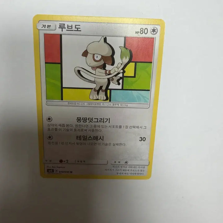 [BUNJANG] Pokemon Card (Ludicolo) / 루브도 포켓몬카드