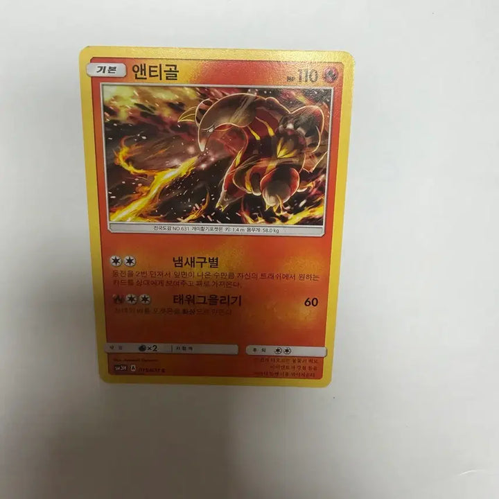 [BUNJANG] Antique Pokemon Cards / 앤티골 포켓몬카드